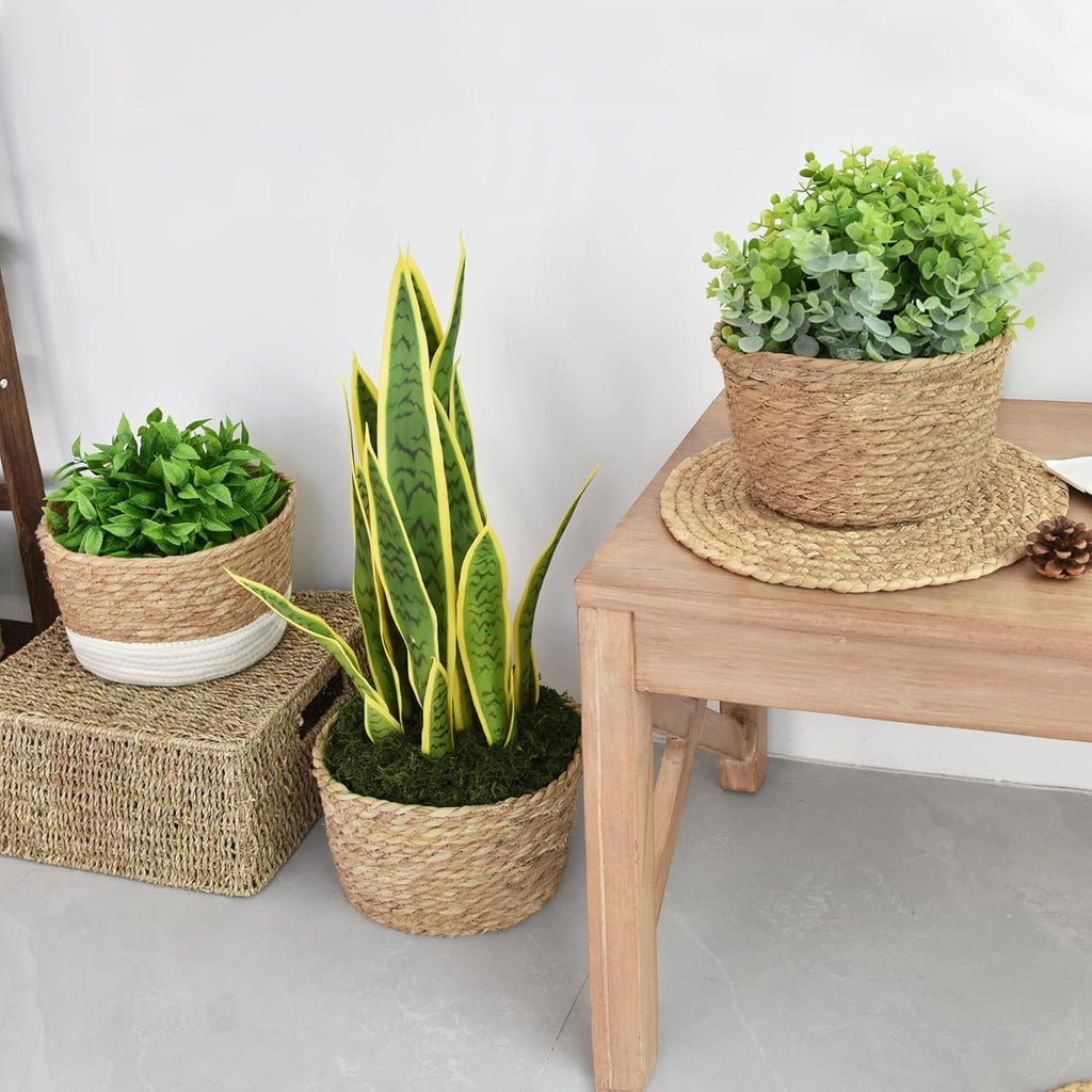 Water Hyacinth Hanging Plant Baskets, 2-Tier Woven Plant Baskets, Hanging Baskets for Plants Indoor & Outdoor, Hanging Baskets for Plant Flower Pots, Natural